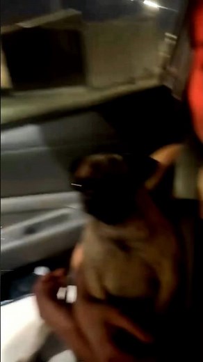 Lil buddy is tweaking 😅