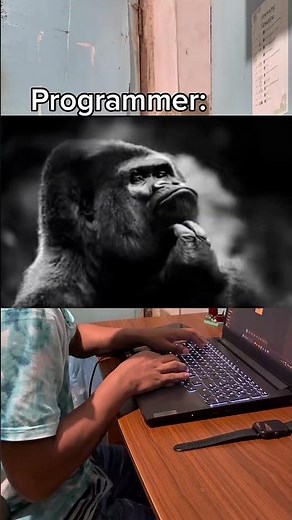 POV: Programmer today 🤖 #developer #programming #coding #python #codinglife