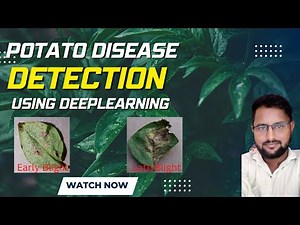 Potato Plant Disease Classification and Detection Using Deeplearning and Python 2022-23| 100% code