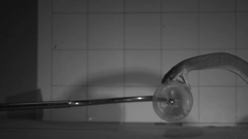 Unreal footage captures snake bites in dramatic slow motion