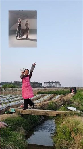 My Green Beans Are Growing Faster Than Others