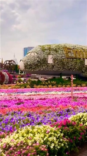 Most beautiful flower plane🌸#Emirates #Flow #BeautifulNature #Flowers #NatureLovers #Garden #Travel