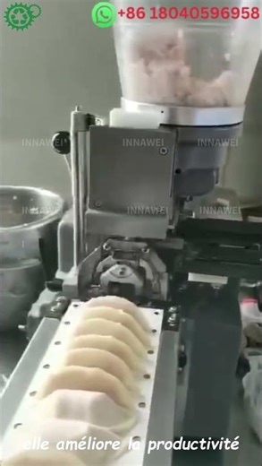 Machine à gyoza professionnelle pour raviolis poêlés et potstickers facile à utiliser