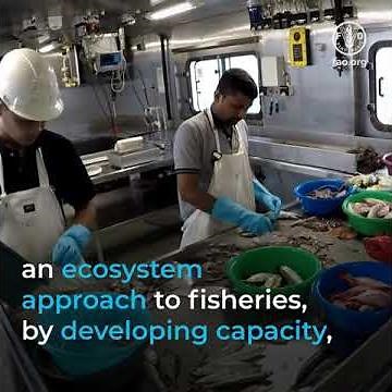 EAF-Nansen Programme – supporting the application of the ecosystem approach to fisheries management