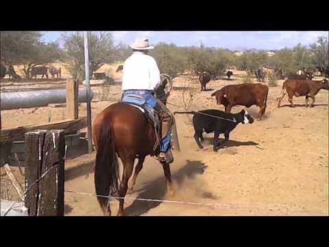 The Disciplined Ride