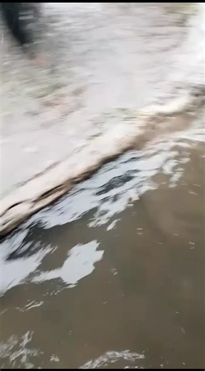 Kabar Subulussalam on Instagram: "Akibat curah hujan yang lebar, banjir terjadi di daerah pelawis di depan PLN, air masuk hingga ke rumah - rumah warga. Sabtu 31/01/2026"