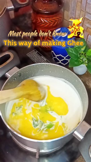 Asha's Kitchen🤎 |Easy Recipes | Indian Cooking | on Instagram: "This is how homemade ghee is actually made ✨ Slow-cooked, aromatic, and pure — just the traditional way. Once you try this, store-bought ghee won’t feel the same🤍. Homemade Ghee from Scratch | Pure Desi Taste #homemadeghee #gheemaking #reels #ghee #today #foodreels #instagramreels"