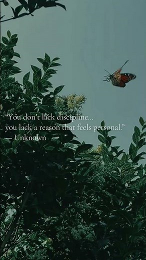 Discipline Follows Meaning