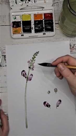 Tutorial of painting Snapdragon flower with 4 colors. #watercolorpainting