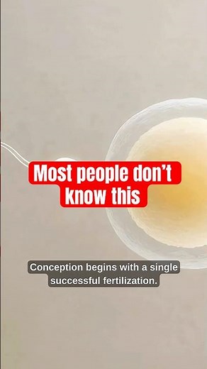 The Science of Conception 🧬 | How Life Begins #shorts #pregnancy #body