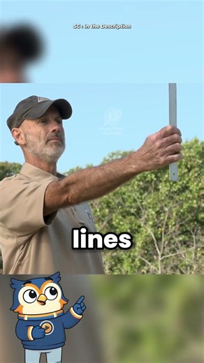 How to Measure a Tree with a Stick