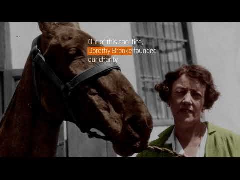 Every Horse Remembered