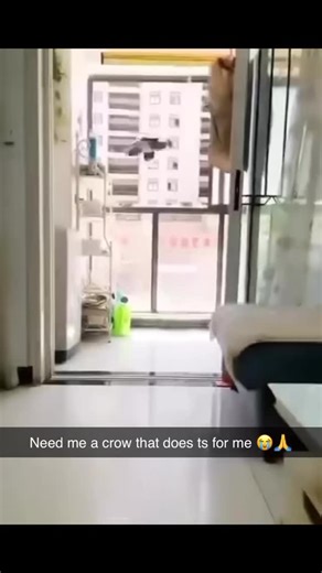 Mythical Reel Pull on Instagram: "Mythical reel pull 1079"