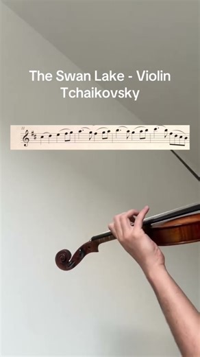 The Swan Lake - Violin 🎻