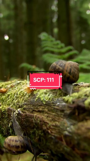 SCP: 111 Which one should I do next?? #SCP #dragonsnails #anomalies #scpfoundation #weirdpets #curiosityunleashed