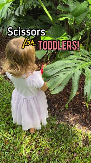 These scissors are amazing for toddlers! ✂️ I’ll drop the link in the comment section for anyone who wants to check them out! 💛One of my kids struggled with fine motor skills in PreK and I quickly learned the importance of strengthening fine motor skills early! Having strong fine motor skills means the muscles in the hands and fingers are stronger which can help with so many life skills like writing with a pencil, buttoning a shirt, and tying shoes (to name a few!). These scissors are for 2 and