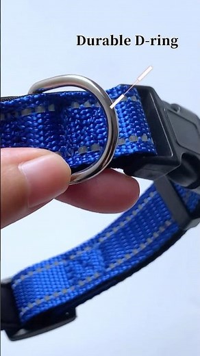 How to Adjust Reflective Dog Collars for Large Male and Female Dogs