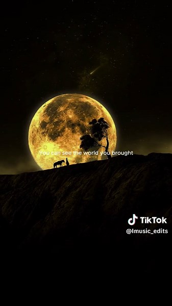 Lmusic على TikTok