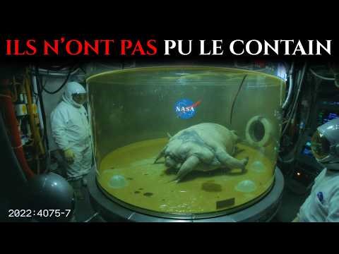 NASA Confirms: 'Living Object' Found in Antarctica Was Not From This World