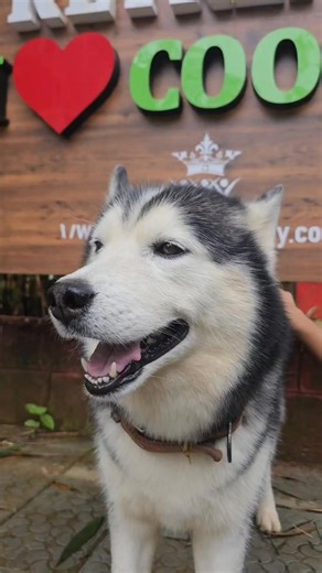 13K views · 207 reactions | Decoding the Mind of Whiskey  #coorg #evergreencounty #retreat #bajanbopanna #reels | Bajan Bopanna | Facebook