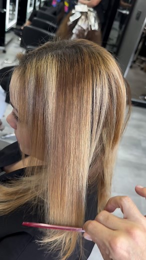 Gabriel Samra on Instagram: "Mega corrección de color creada con @trussprofessional #gabrielsamra #airlibretruss #balayage #miamihairsalon #miamihairstylist"