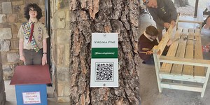 Local Scouts lead community service projects in Staunton