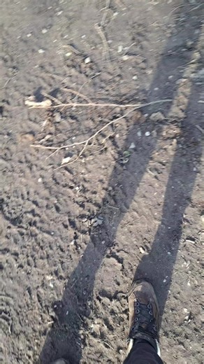 Martin Nachev (@martin.nachev6)’s videos with original sound - Martin Nachev