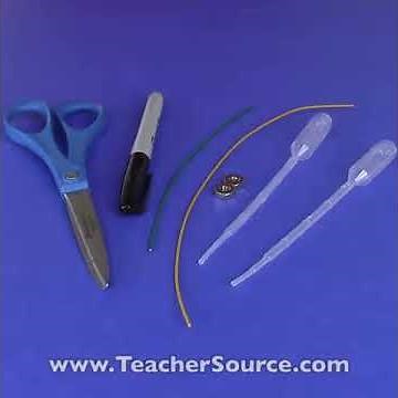 Catch and Release Cartesian Divers