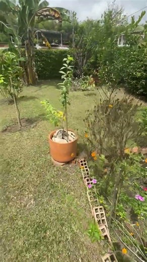 Oportunidad de tu Casa campestre cerca al lago calima