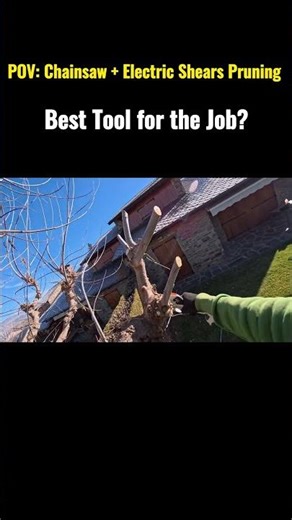Satisfying POV Tree Pruning with Power Tools | Chainsaw & Stihl Shears in Action