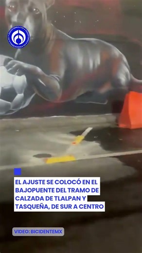 Ciclistas celebran nuevo tope en incorporación a ciclovía