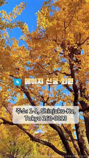 📌 무조건 저장 !🍁 일본 도쿄 단풍&은행나무 역대급 명소#도쿄여행 #도쿄단풍 #도쿄가을여행 #도쿄핫플 #나리타공항 #하네다공항 #도쿄공항픽업 #도쿄공항샌딩 #innn