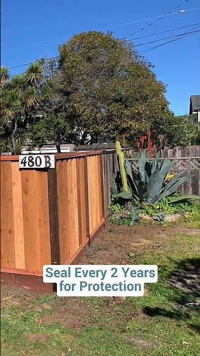 How to Maintain Your Redwood Fence for Long-Lasting Beauty | Expert Tips #shorts
