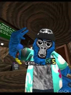 FAN CODE RELEASED & VERIFICATION HAT #gorillatag #gorillatagquest #gtag #vr