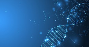 Timelines | Custom mouse models in 5 months - Ozgene