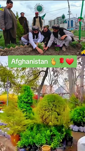 Afghanistan: Culture and Beauty Unveiled