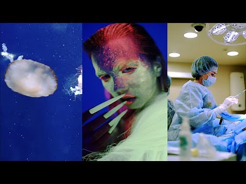 Introduction to: Fluorescence Anisotropy