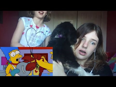 Homer Buys a Pet Lobster Reaction (ParaReact REUPLOAD)