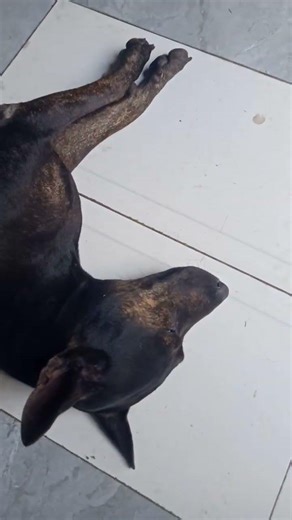 táp cho một cái bây giờ...