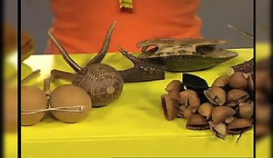 Una mirada a la música maya