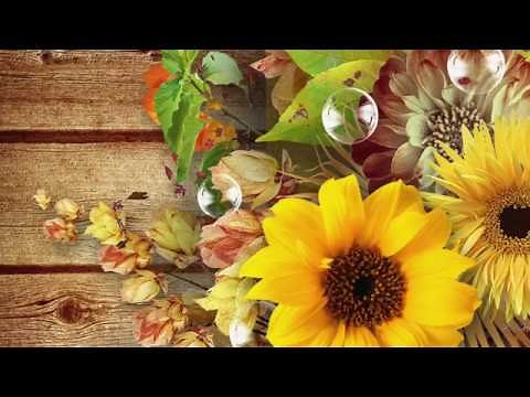 Productivity Study Work Background Instrumental Music / String Quartet