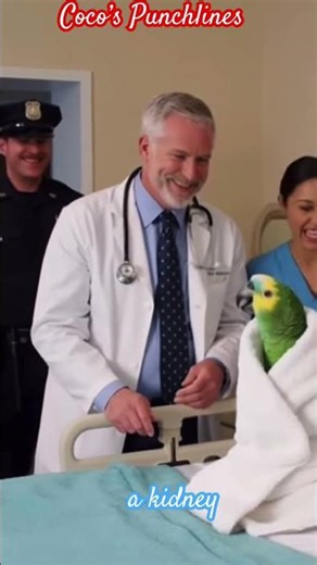 Coco is angry with doctor 🧑‍⚕️ #talkingparot