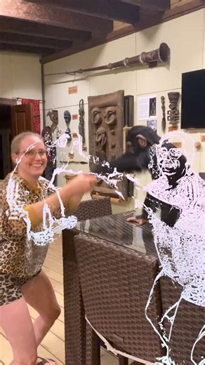 Getting all that energy out with a dance party 🐵 #dancing #cute | Chimpanzee Show 01