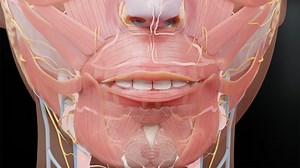 9-point Injection Technique for Lip Augmentation and Lip Corner Lifting Using Sonographic Imaging of the Labial Artery Pathway