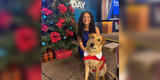 Santa Paws: The perfect addition for a loving family this holiday season