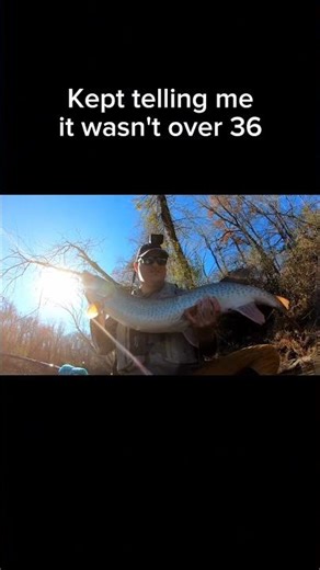 Muskie Was Bigger Than He Thought 🐟