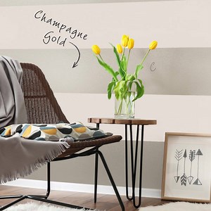 1.7K views | Add a chic update to your living room with Champagne Gold Metallic Paint 壟 Pair with neutral colours to add light and bring out the shimmer ✨ | Johnstone's Paints | Facebook