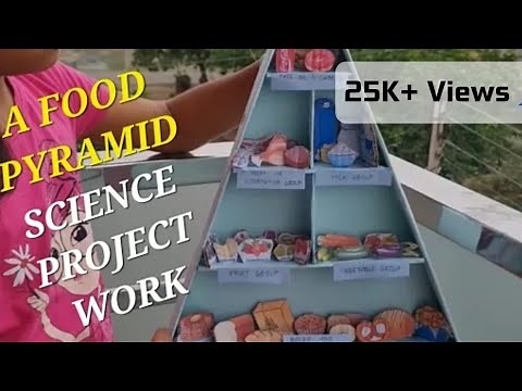 Food Pyramid | Science Project Work | Food Pyramid Science Project Work For Grade 4 | #foodpyramid