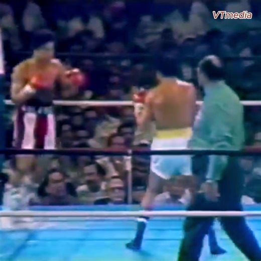 Wilfredo Gomez vs Carlos Zarate full fight | Street Fight Europe