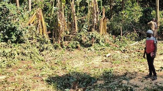 Day 1 Bogirango ekona save number Kings Contractors KE | Kings Contractors KE